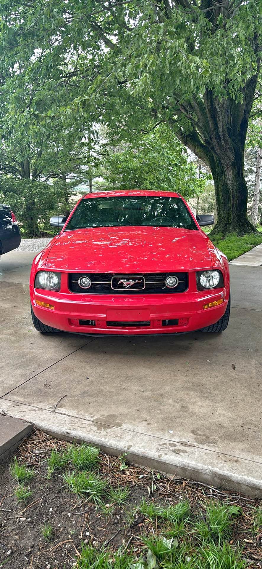 2008 Ford Mustang