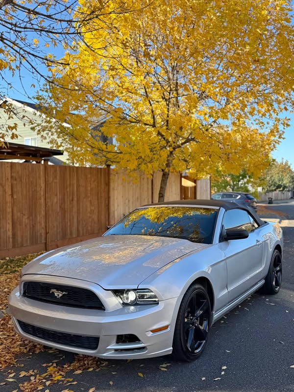 2013 Ford Mustang - V6 Convertible 2D