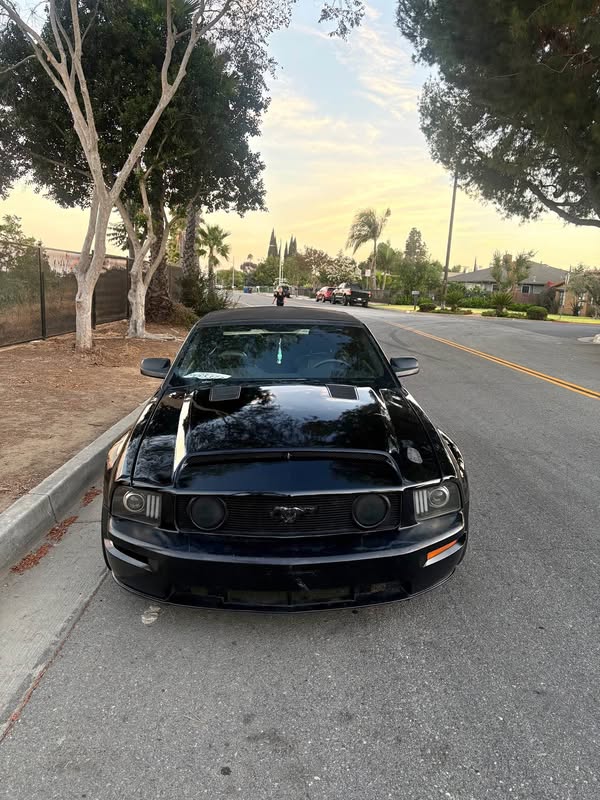 2007 Ford Mustang - GT Convertible 2D