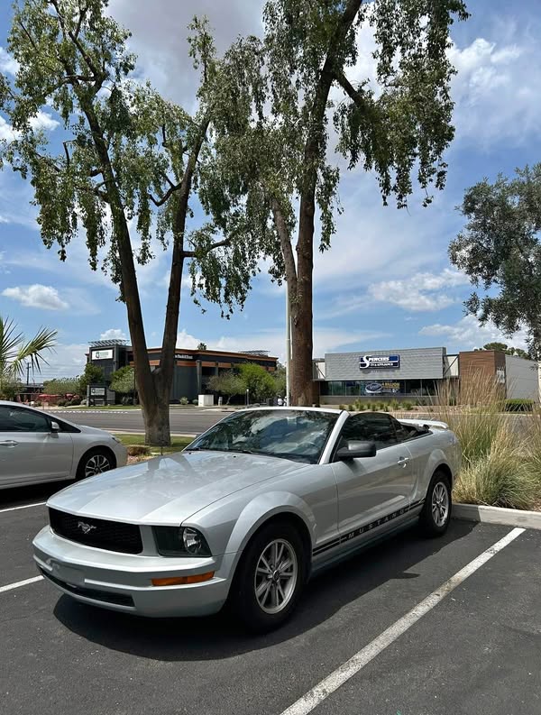 2005 Ford Mustang - V6 Premium Convertible 2D