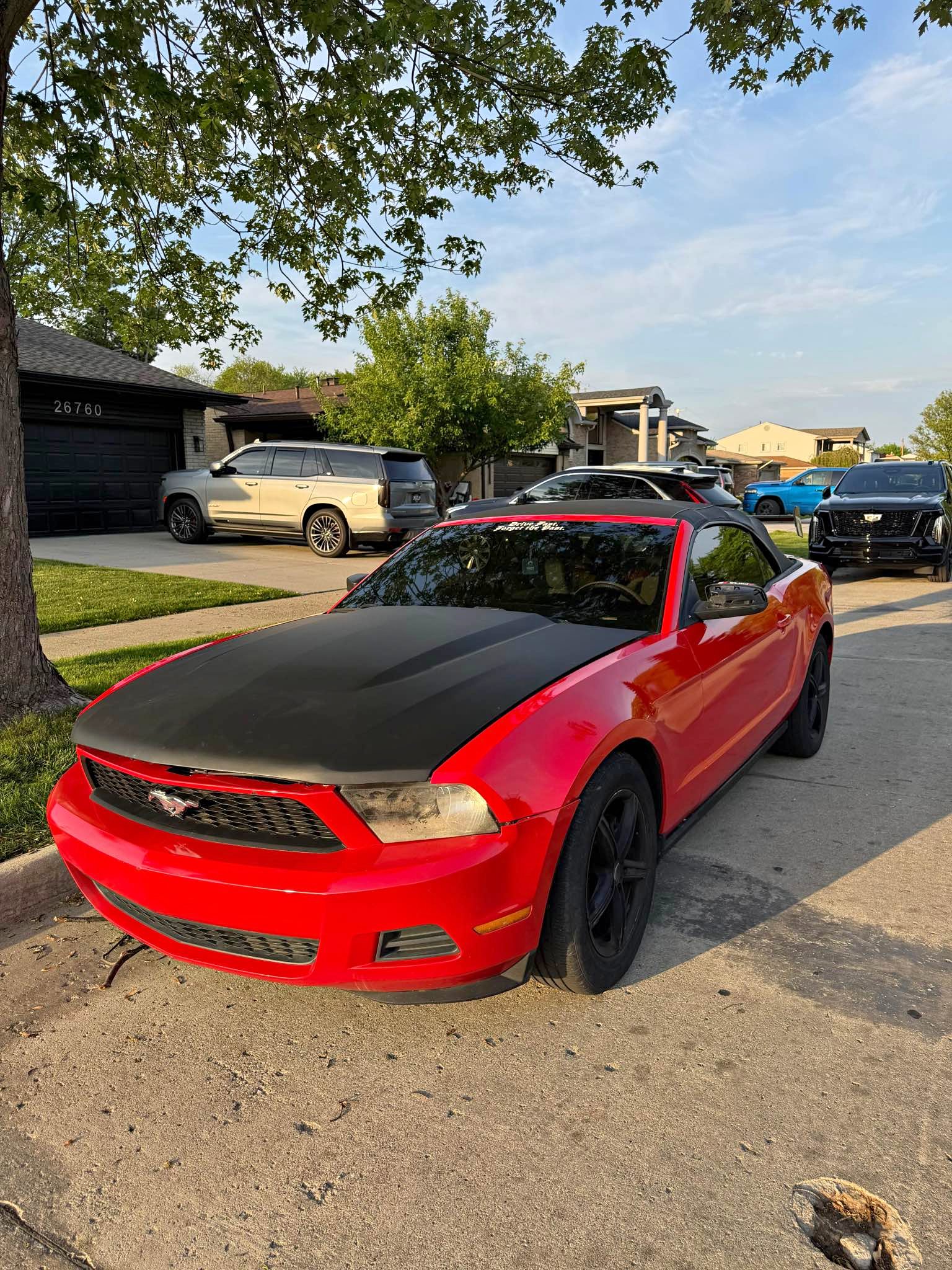 2011 Ford Mustang - V6 Premium Coupe 2D