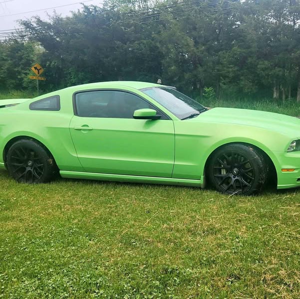 2014 Ford Mustang - Premium Coupe 2D