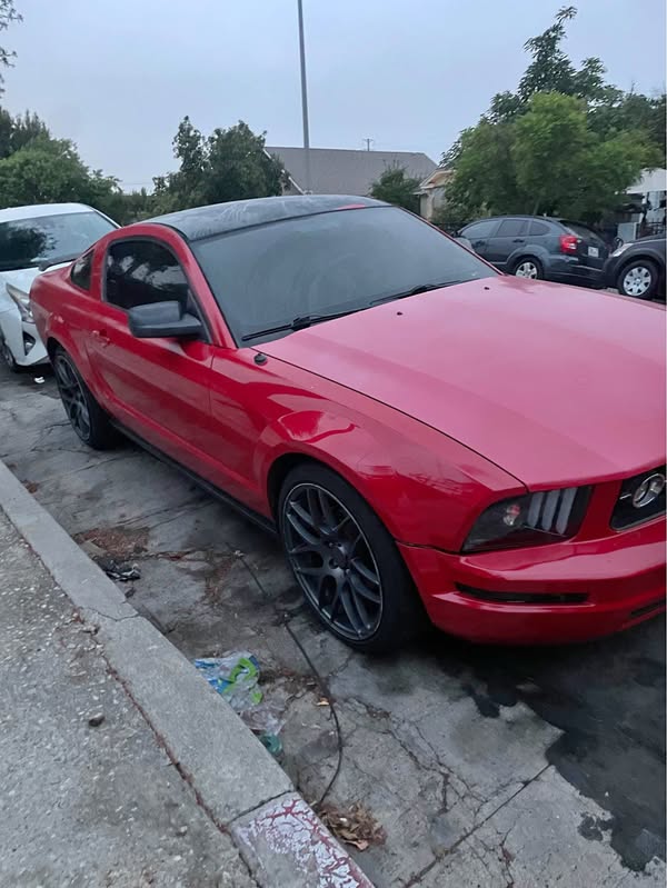 2005 Ford Mustang - Coupe 2D