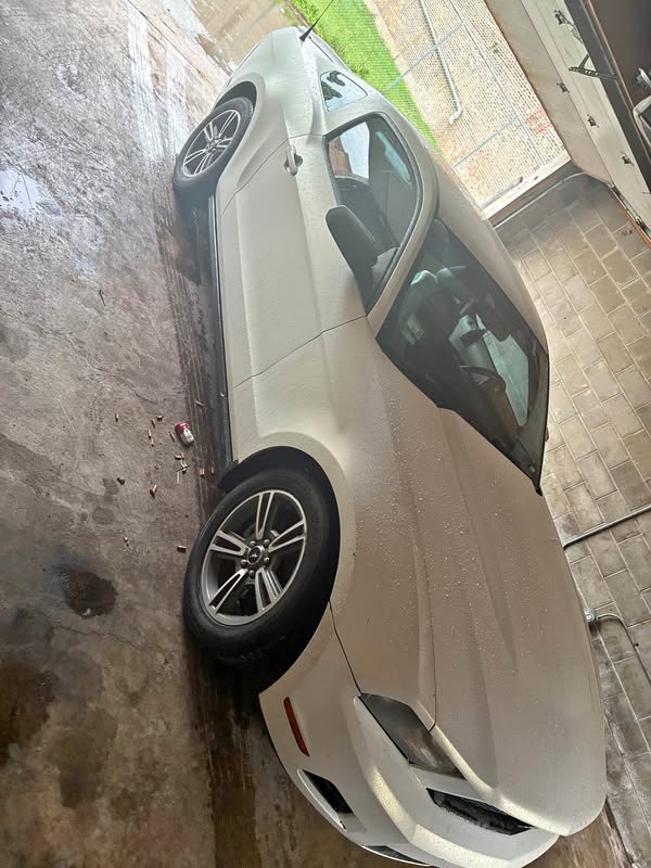 2010 Ford Mustang - Coupe 2D