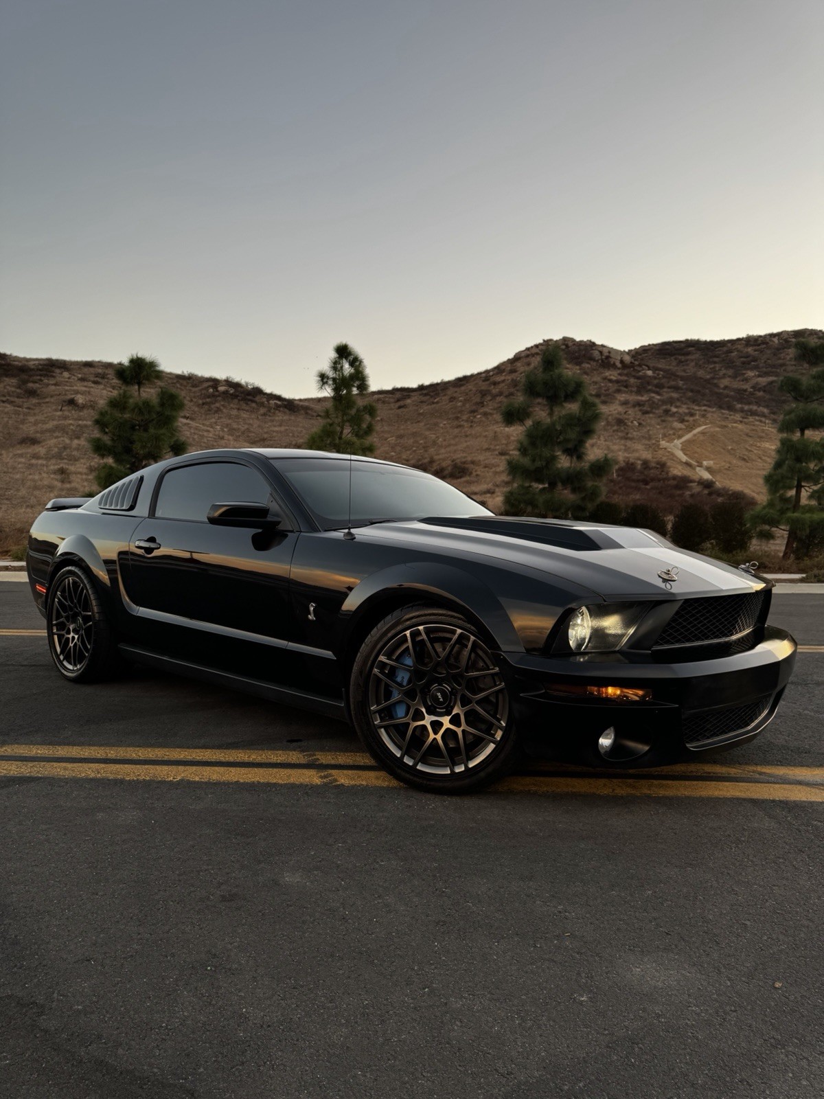 2009 Ford Mustang SHELBY GT500