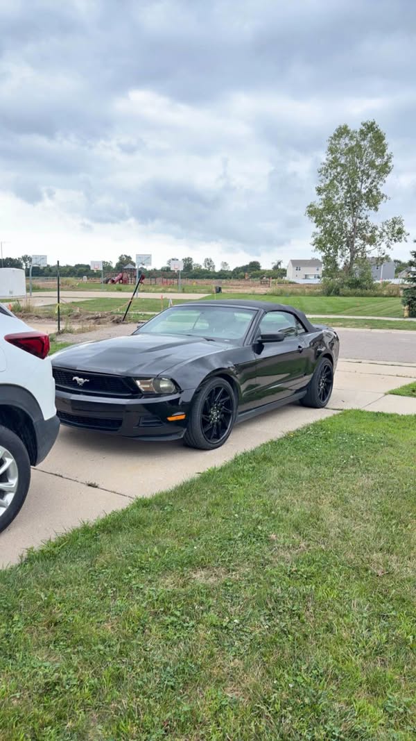 2010 Ford Mustang - Deluxe Convertible 2D