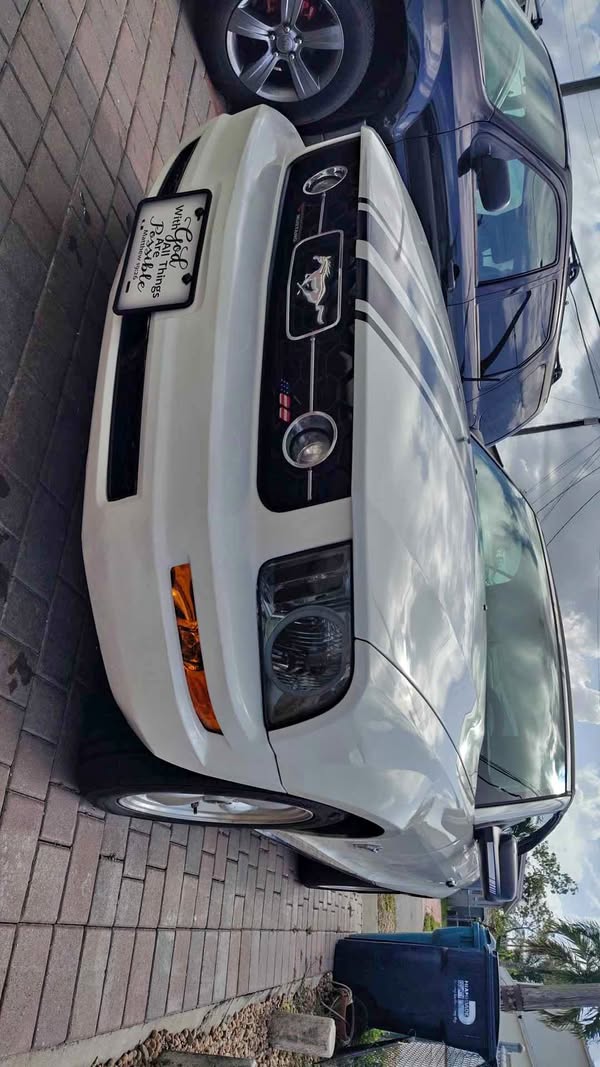 2009 Ford Mustang - Convertible 2D