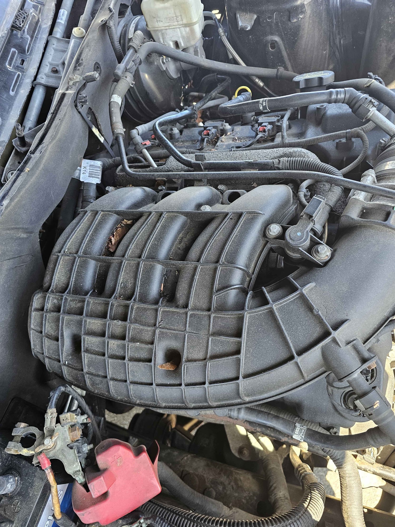 2012 Ford Mustang - V6 Coupe 2D