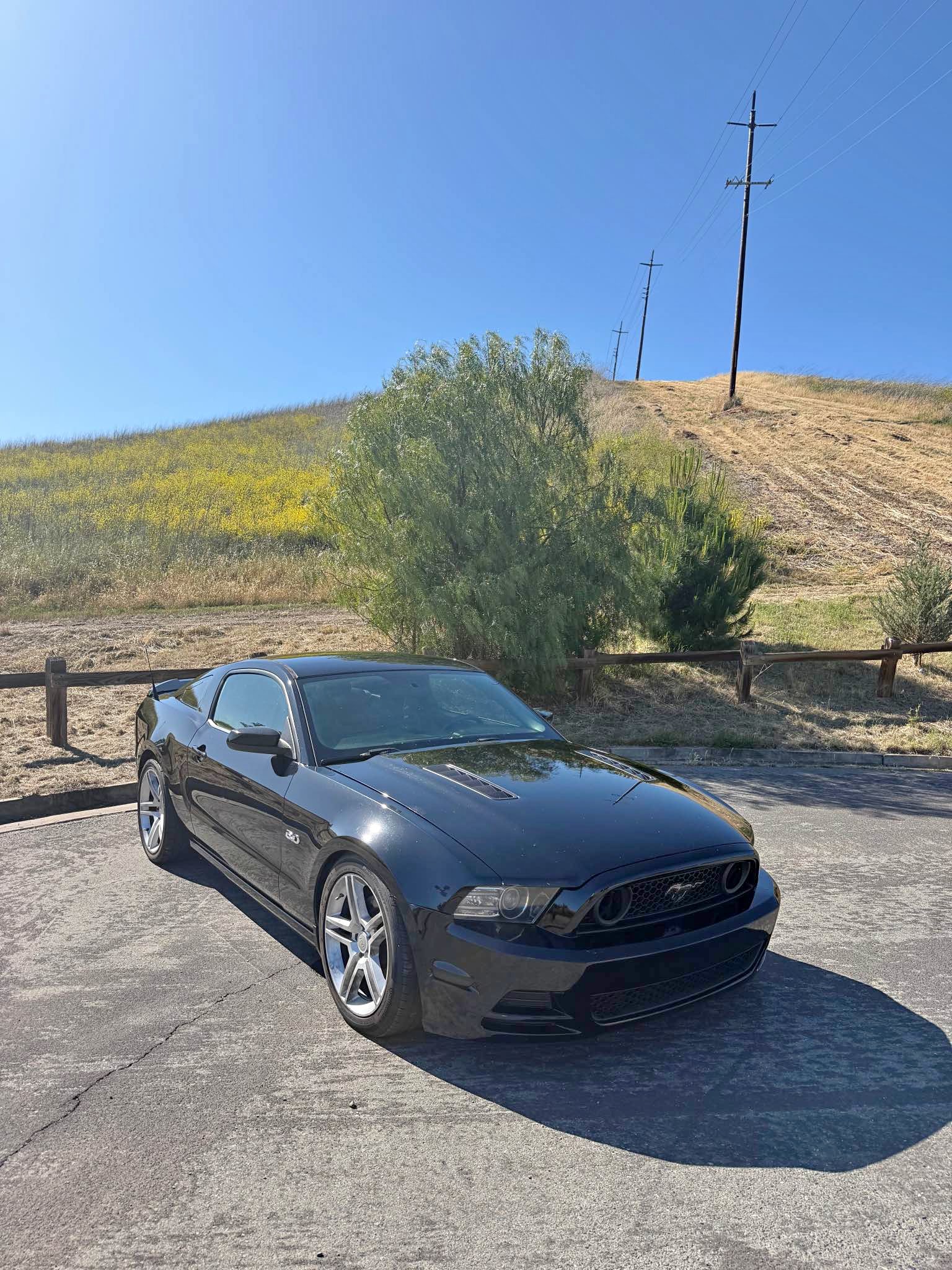 2014 Ford Mustang - GT Coupe 2D
