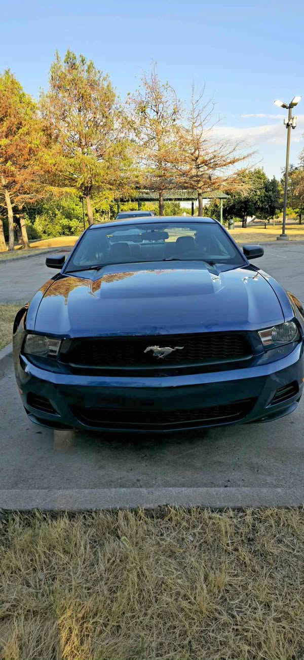 2010 Ford Mustang