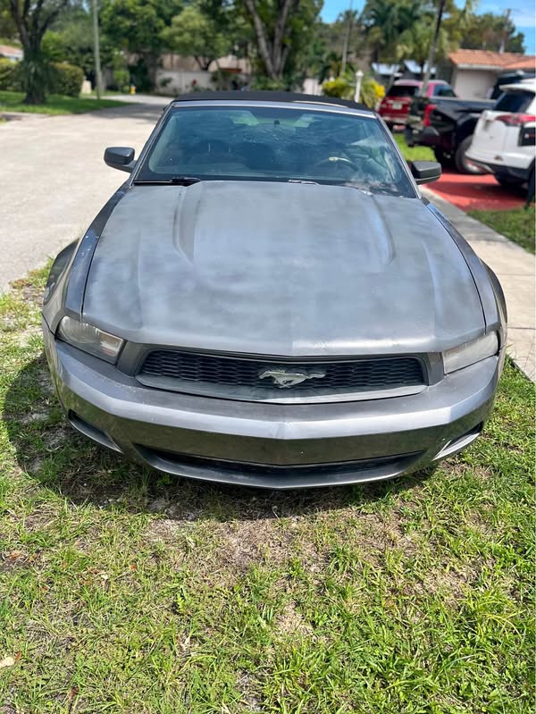 2010 Ford Mustang - Coupe 2D