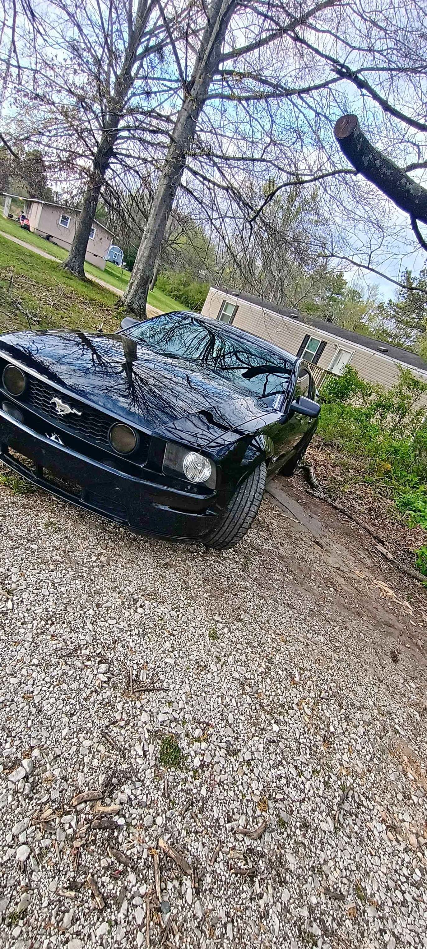 2008 Ford Mustang - GT Premium Coupe 2D