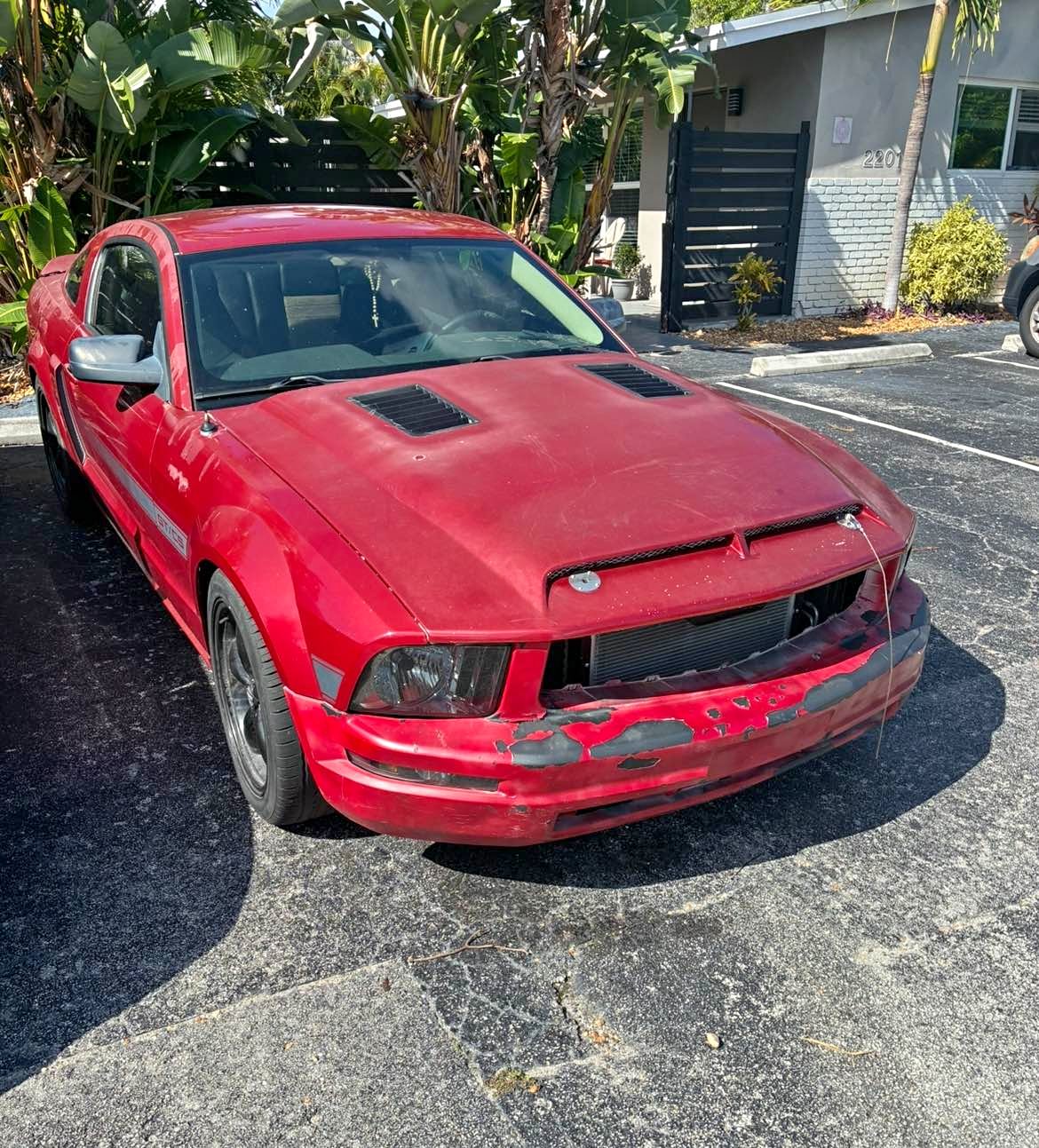 2008 Ford Mustang - GT Coupe 2D