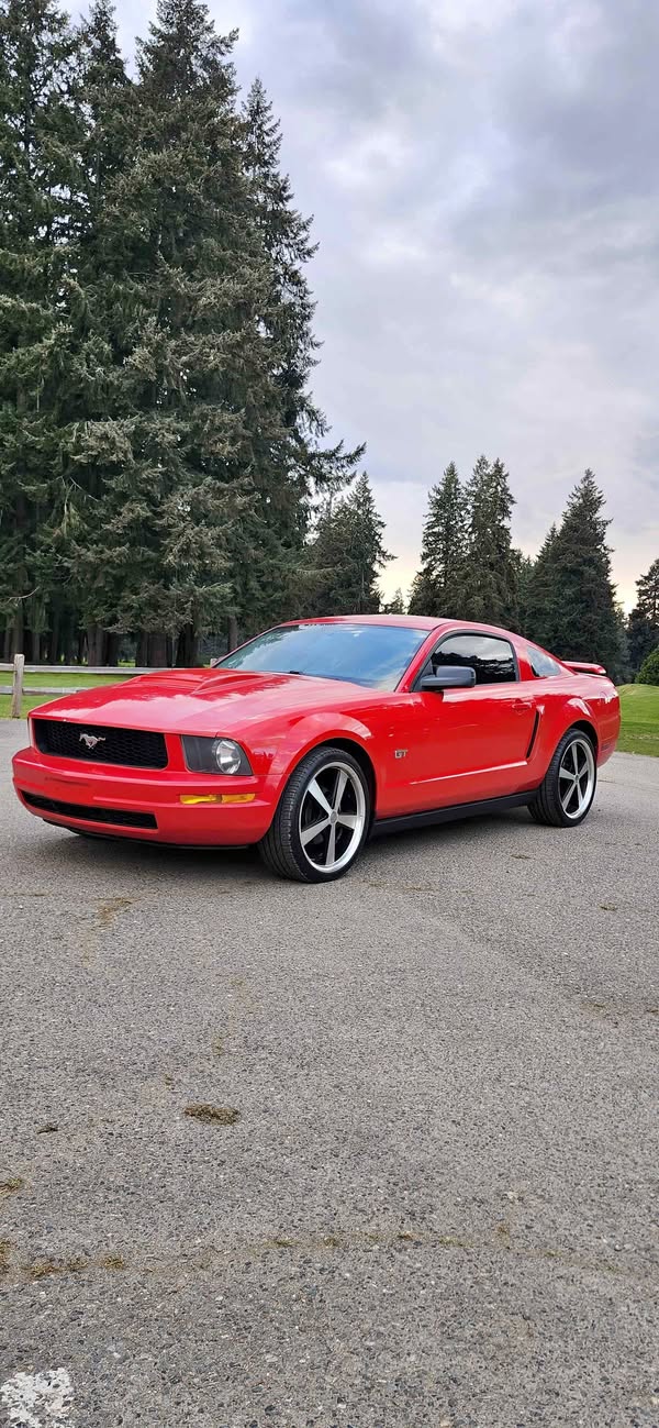 2006 Ford Mustang - Coupe 2D