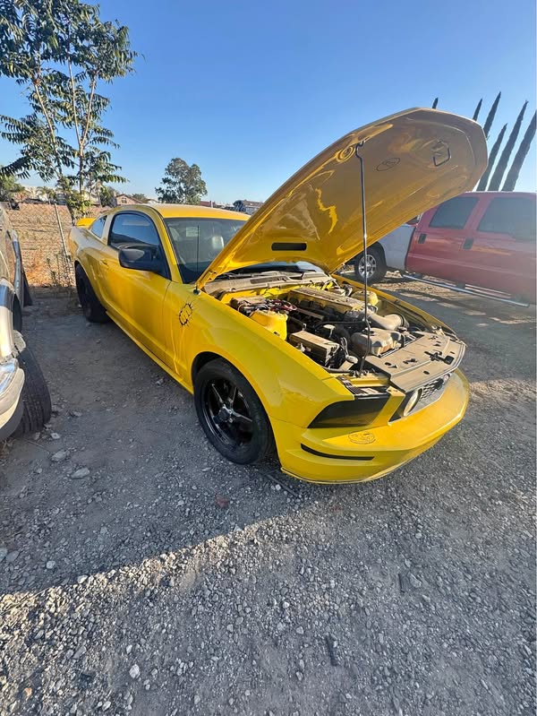 2005 Ford Mustang - GT Coupe 2D