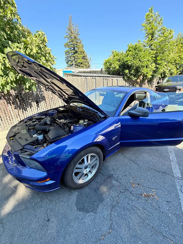 2005 Ford Mustang - Coupe 2D
