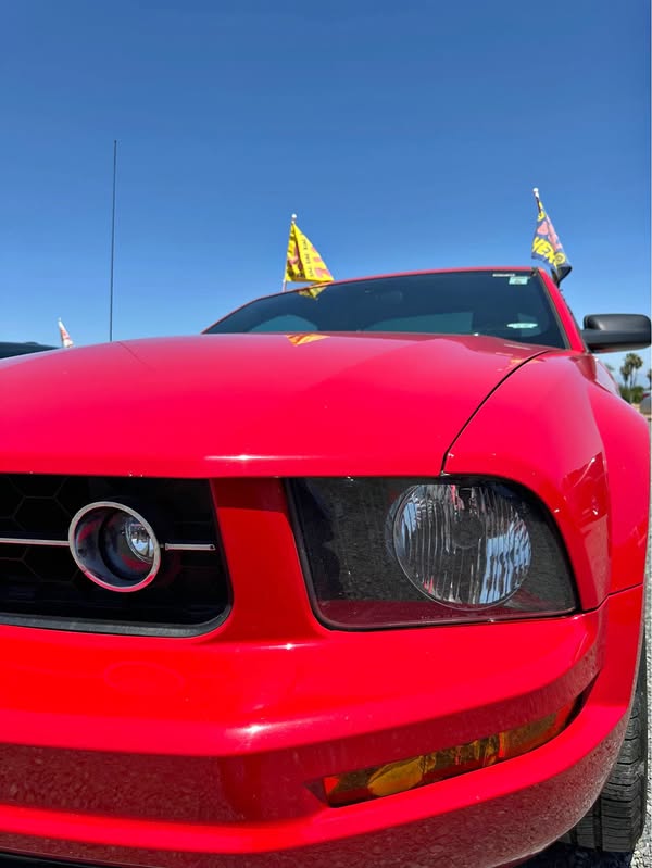 2006 Ford Mustang - Coupe 2D