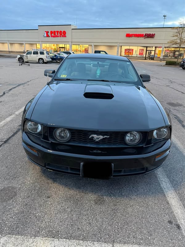 2009 Ford Mustang - GT Deluxe Coupe 2D