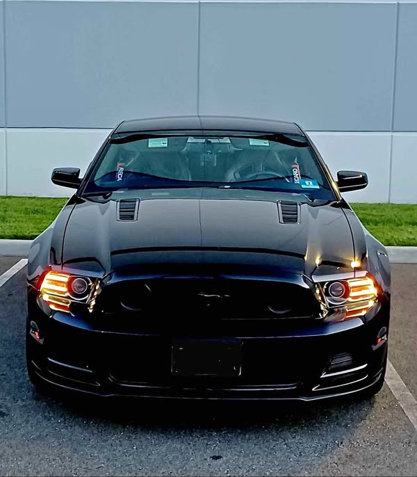 2014 Ford Mustang - GT Premium Coupe 2D