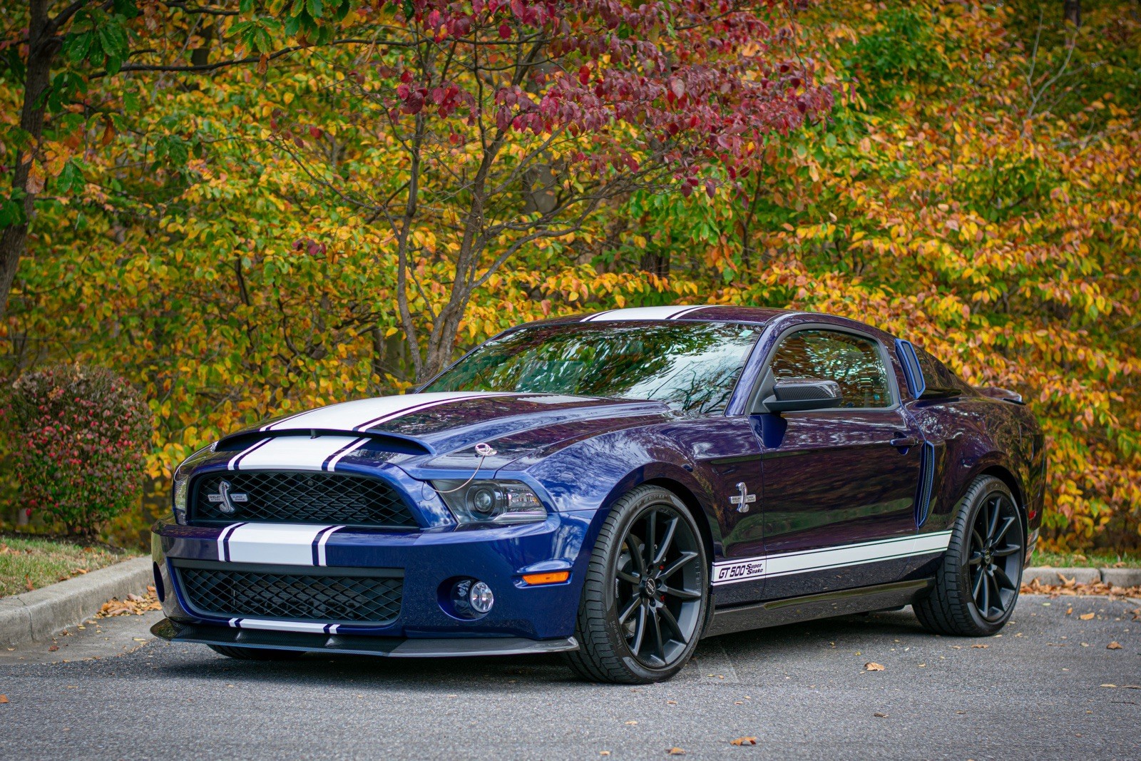 2012 Ford Mustang SHELBY GT500