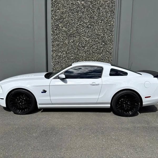 2014 Ford Mustang GT Coupe 2D