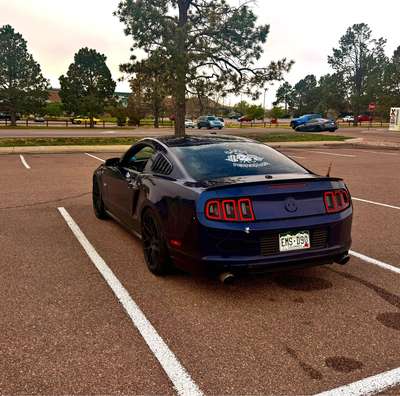 2010 Ford Mustang - GT Deluxe Coupe 2D