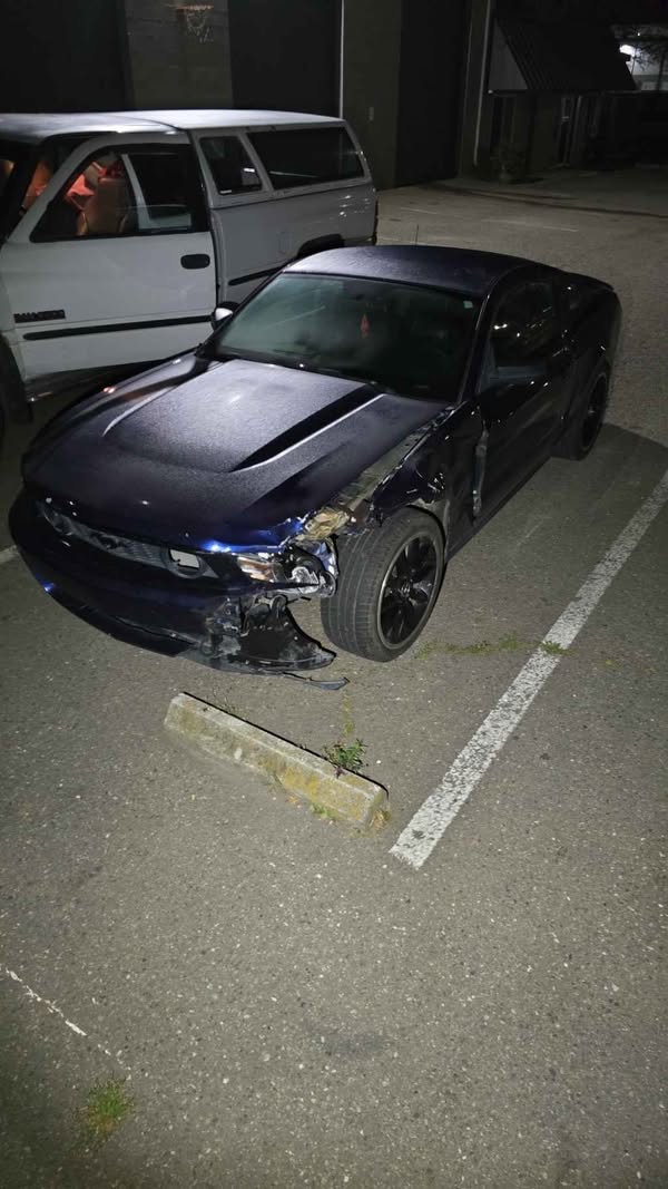 2012 Ford Mustang - V6 Premium Coupe 2D
