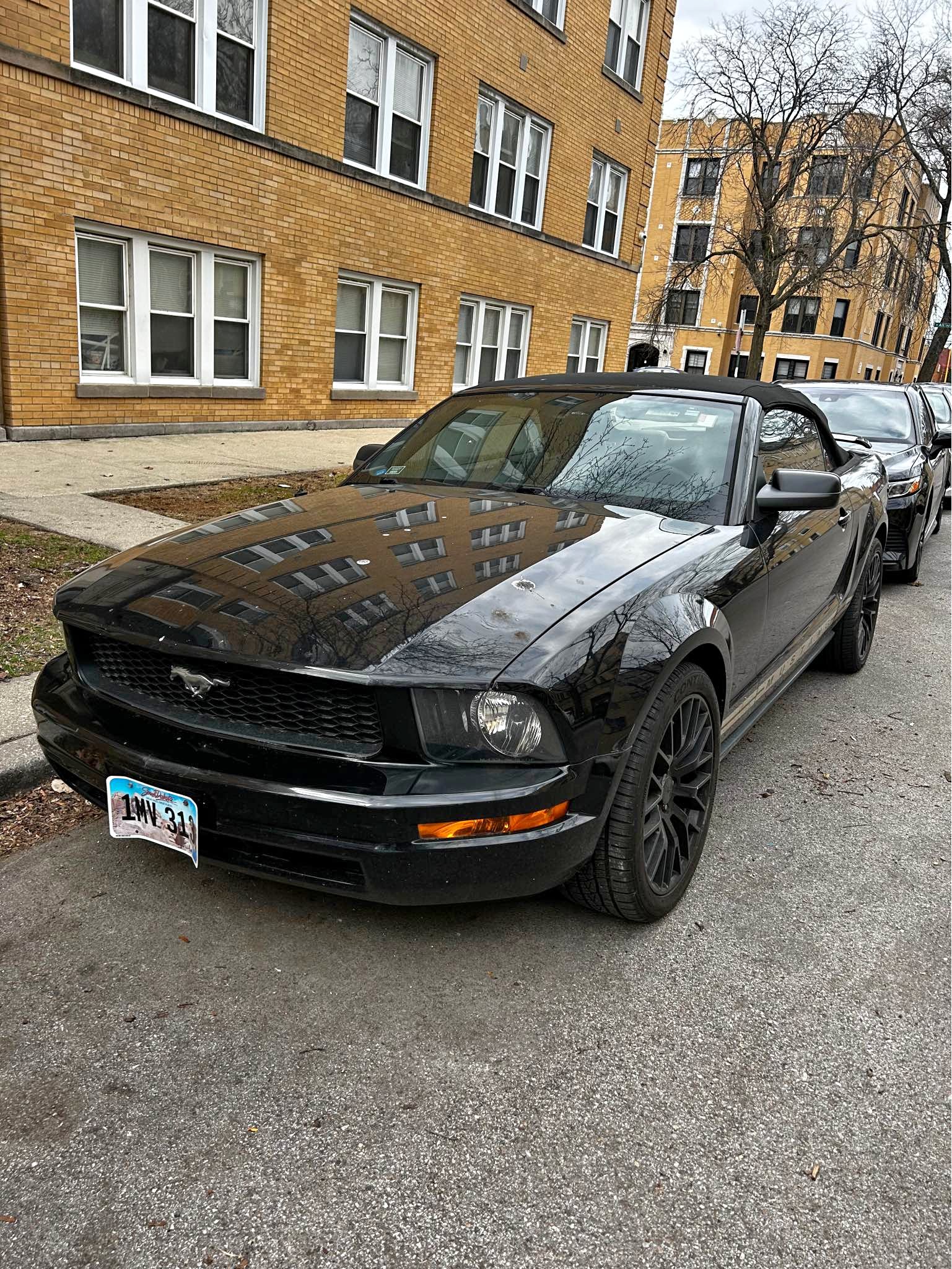 2006 Ford Mustang - Convertible 2D