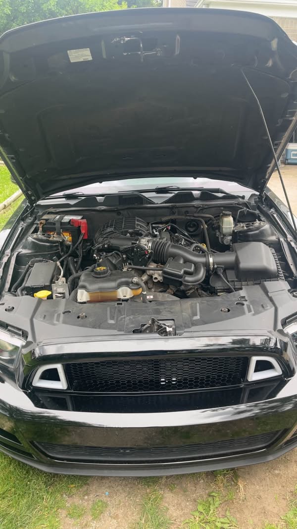 2014 Ford Mustang - Base