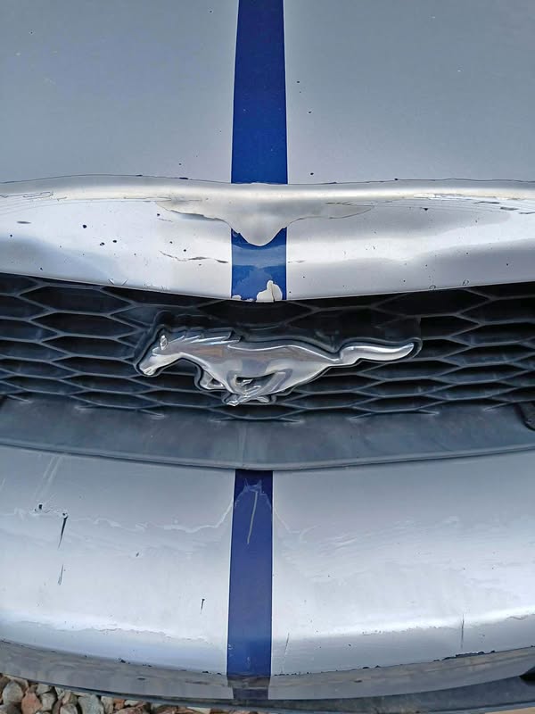 2006 Ford Mustang - GT Coupe 2D