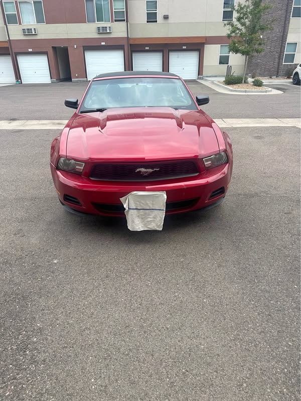 2010 Ford Mustang - V6 Convertible 2D