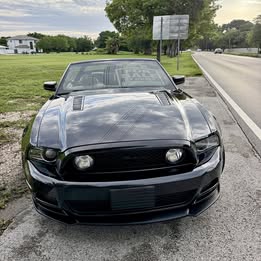 2014 Ford Mustang - GT Premium Convertible 2D