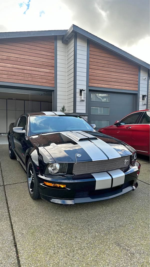 2007 Ford Mustang - Shelby GT500 Coupe 2D