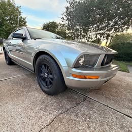 2008 Ford Mustang - Mustang Deluxe