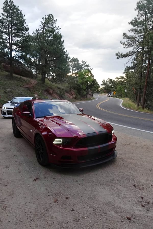 2014 Ford Mustang - GT Coupe 2D