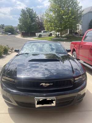 2011 Ford mustang v6