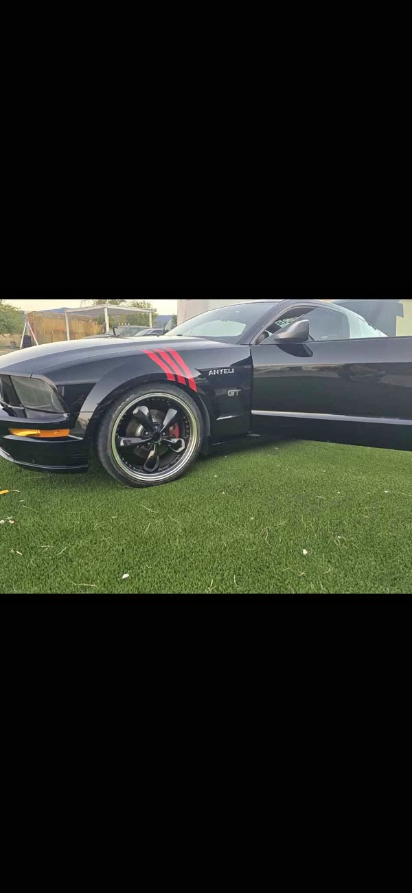 2006 Ford Mustang - Coupe 2D