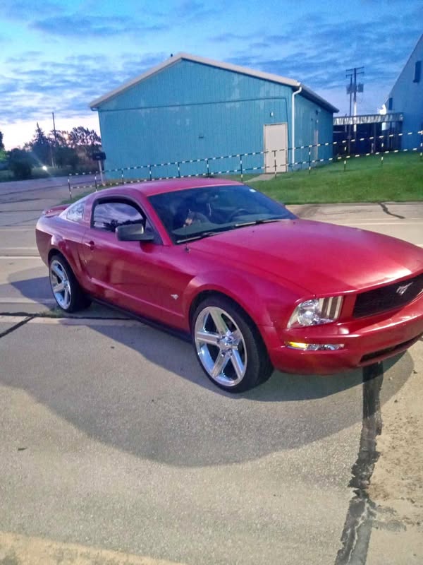 2005 Ford Mustang - Coupe 2D