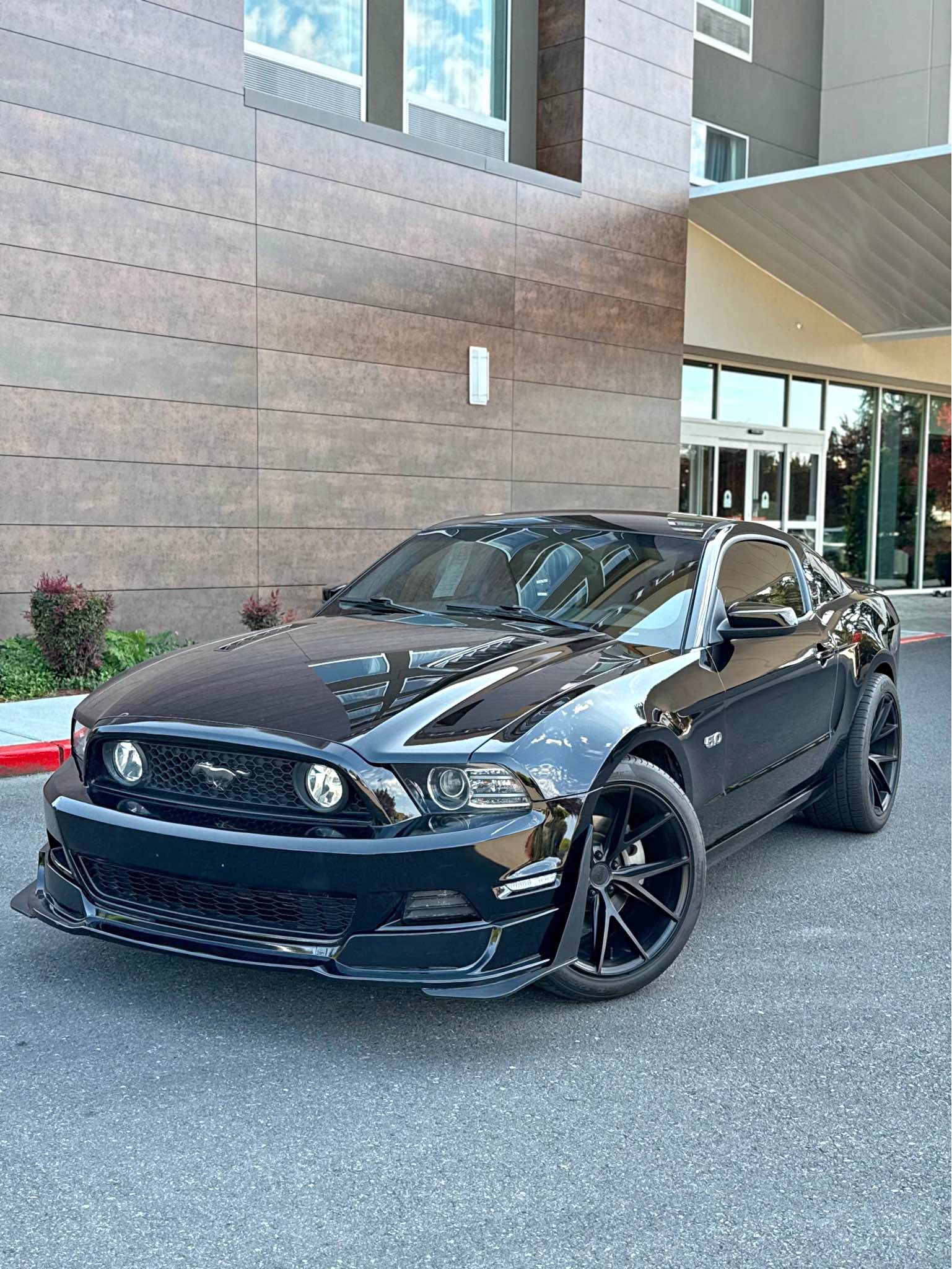 2014 Ford Mustang - GT Coupe 2D