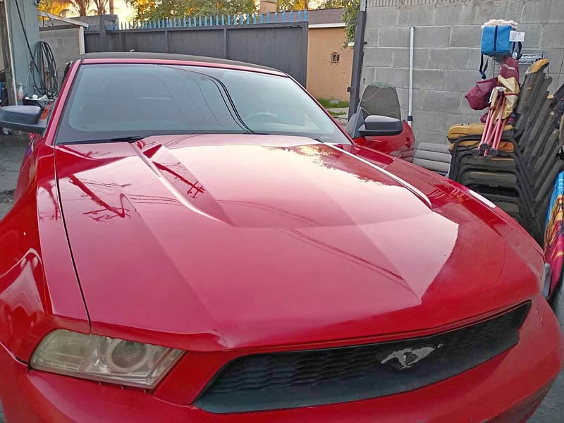 2013 Ford Mustang - Cobra Coupe 2D