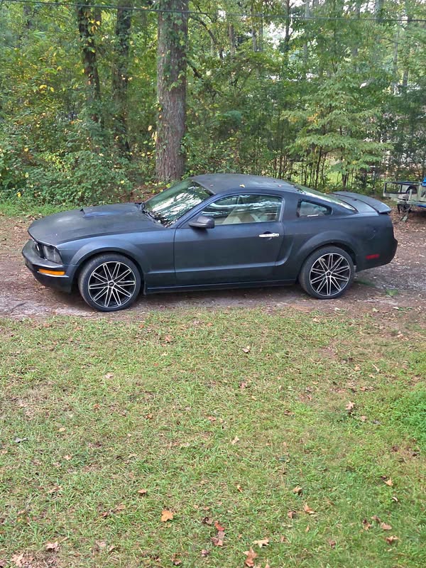 2009 Ford Mustang - V6 Premium Coupe 2D