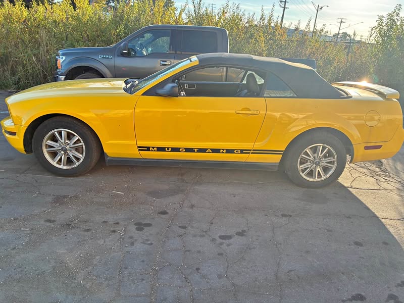 2006 Ford Mustang - Cobra Convertible 2D