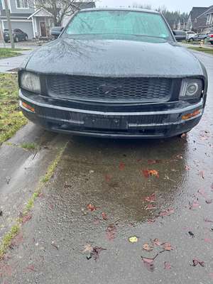 2006 Ford Mustang - Coupe 2D