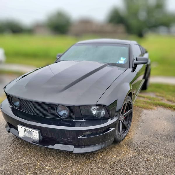 2008 Ford Mustang - GT Premium Coupe 2D