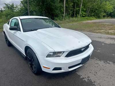 2010 Ford Mustang - V6 Coupe 2D