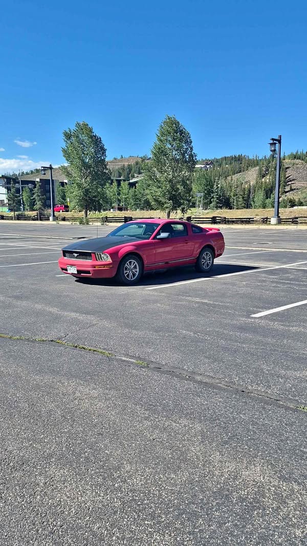 2005 Ford Mustang - V6 Premium Coupe 2D