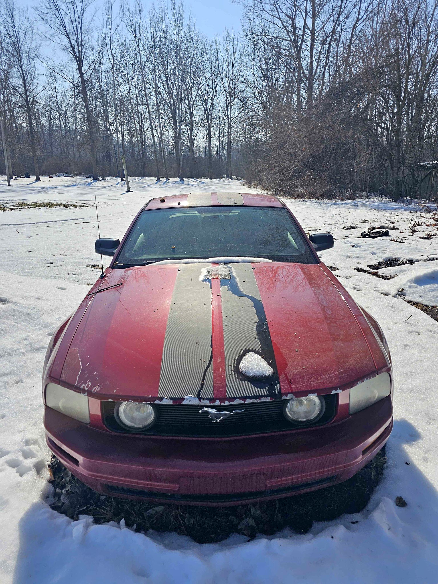 2009 Ford Mustang - V6 Coupe 2D