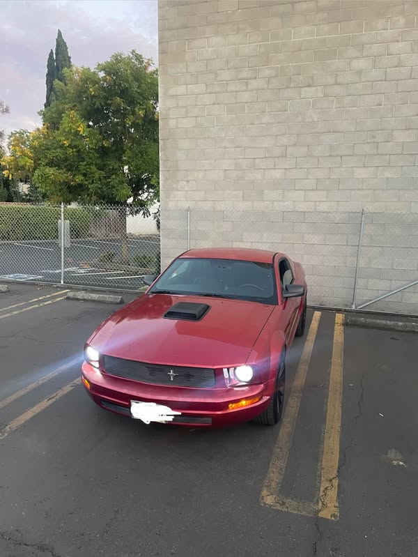 2005 Ford Mustang - V6 Premium Coupe 2D