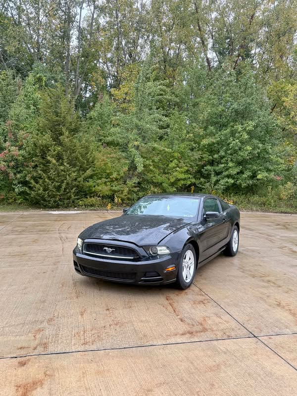 2013 Ford Mustang