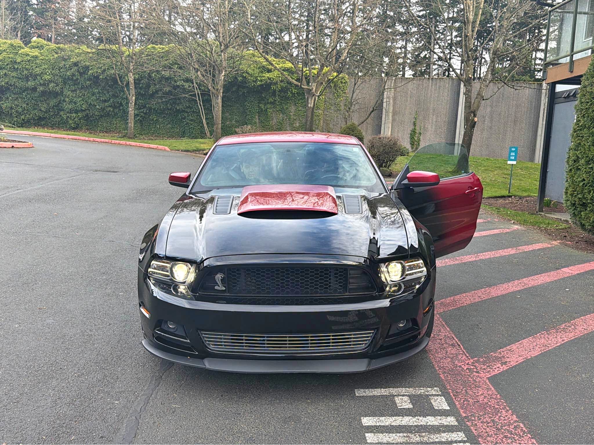 2013 Ford Mustang - Premium